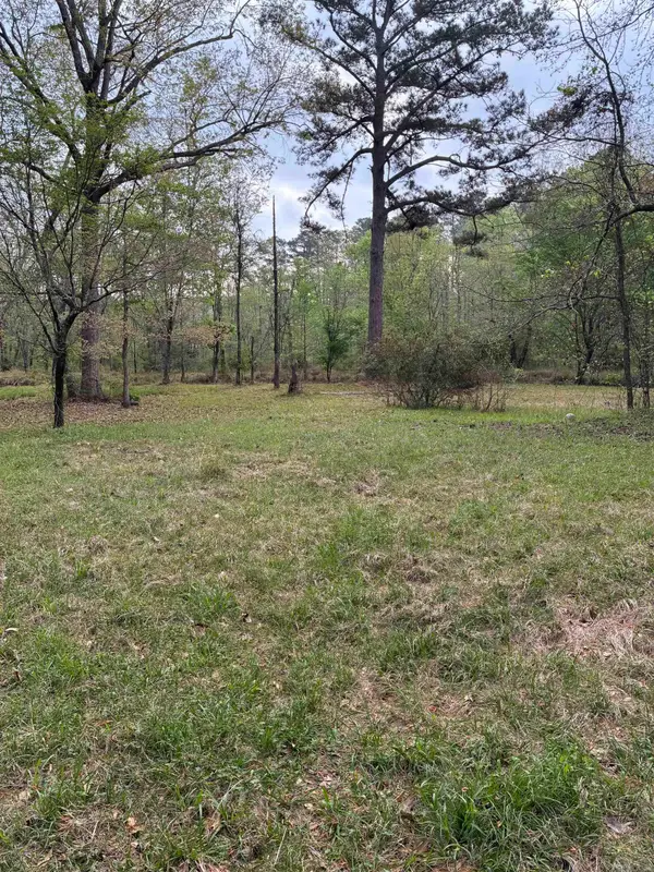 365 Ouachita 312, Chidester, AR 71726