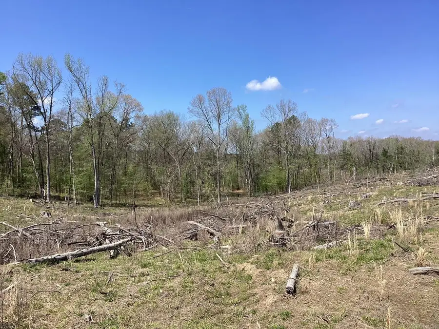 Okolona Road, Caddo, AR 71962 - #2