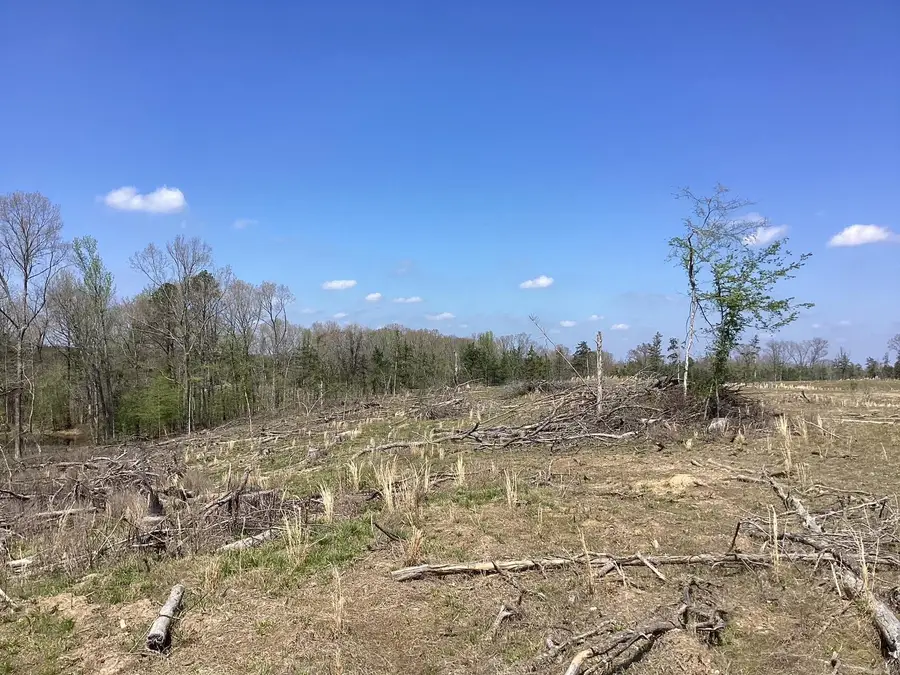 Okolona Road, Caddo, AR 71962 - #3