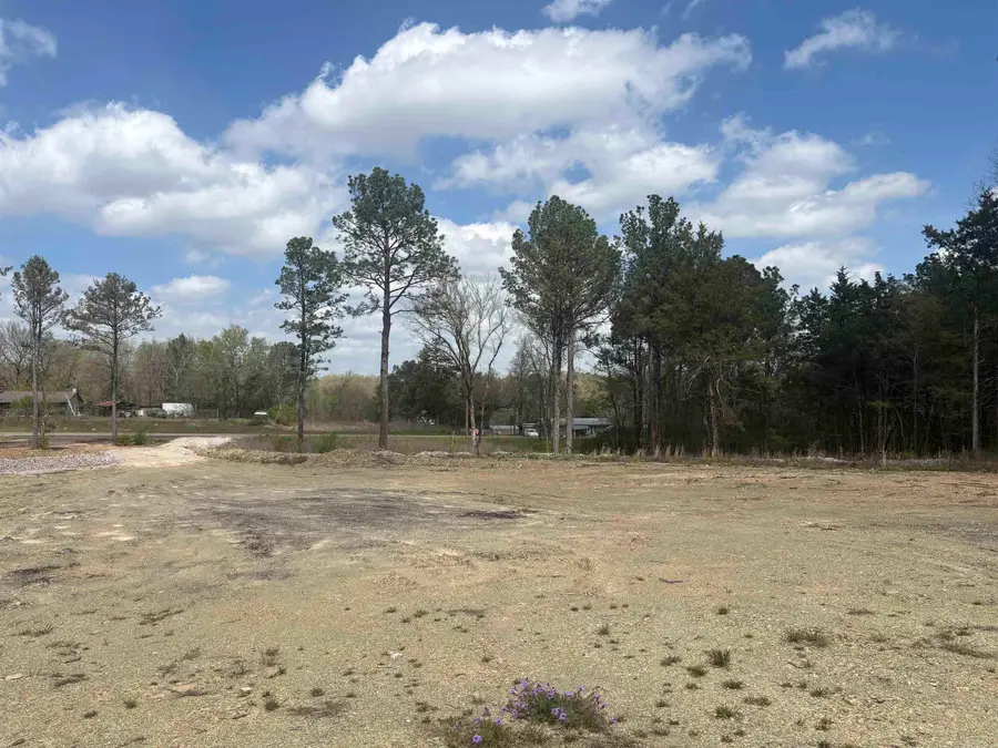 7809 Albert Pike Road, Royal, AR 71968 - #2