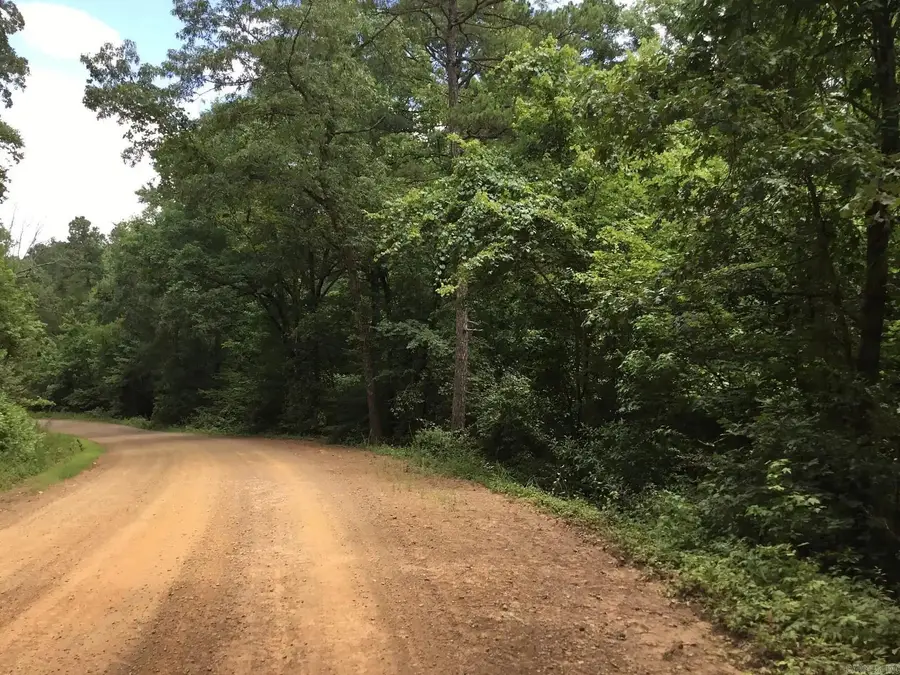 58 Rocky Creek Road, Reveilee, AR 72943 - #3
