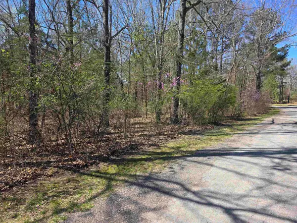 L-22 B-10 Nameoki Drive, Cherokee Village, AR 72529