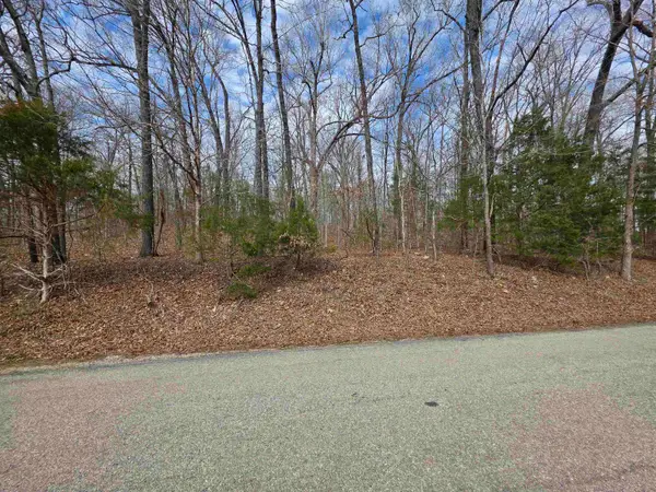 L-13 B-2 Robin Hood Lane, Hardy, AR 72542