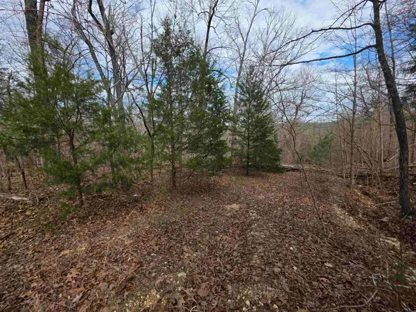 L-42 B-1 Robin Hood Lane, Hardy, AR 72542