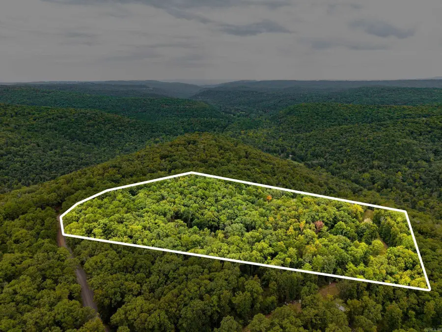 2190 Plant Church Road, Clinton, AR 72031 - #3