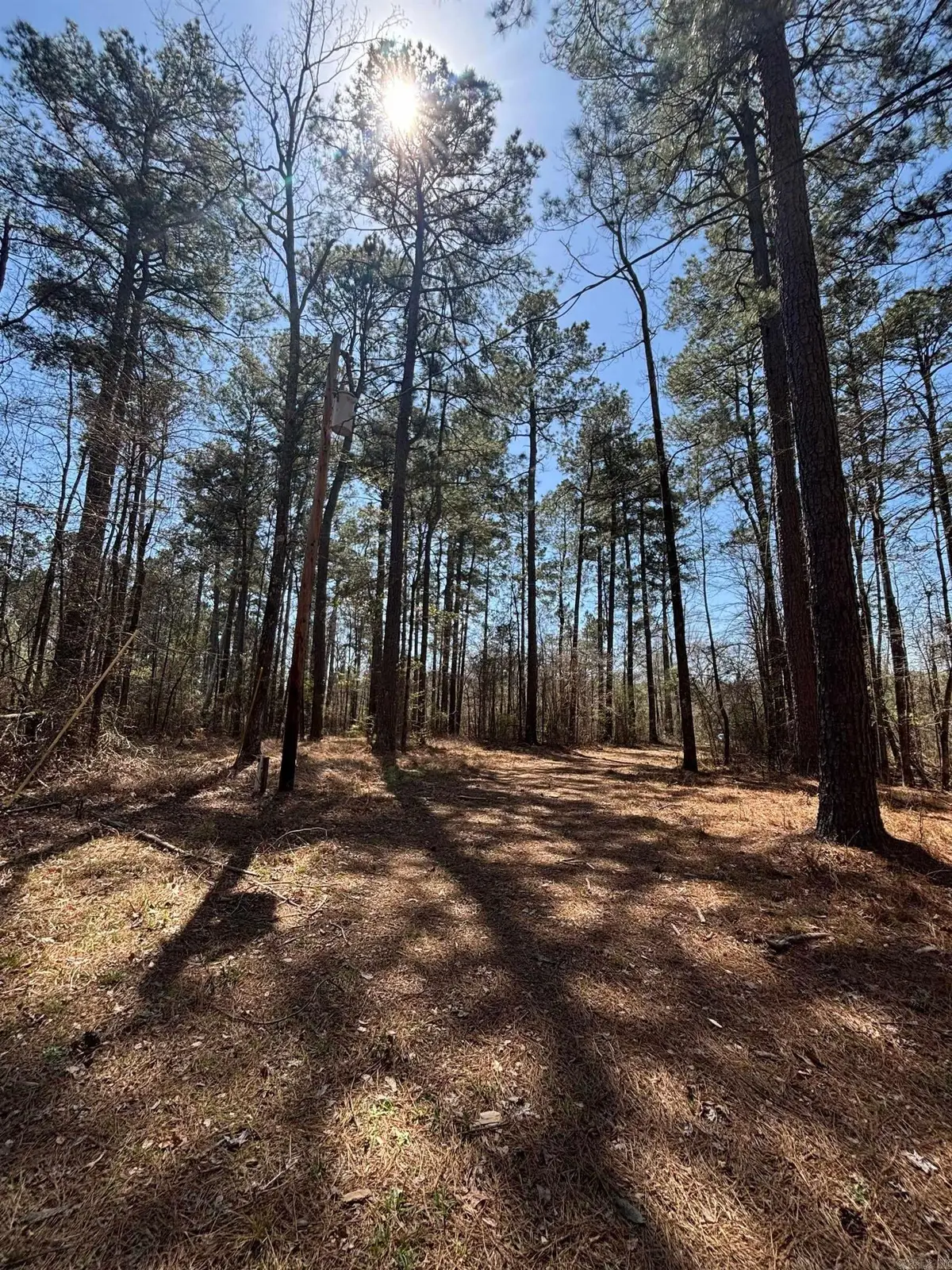 Address Withheld By Seller, Rison, AR 71665 - #1