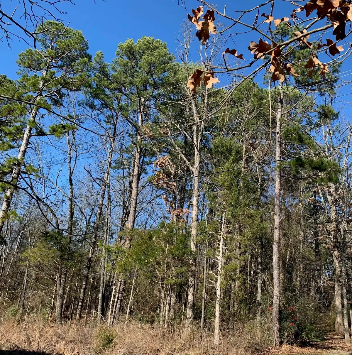 Lot 4 Thelma Street, Heber Springs, AR 72543 - #1