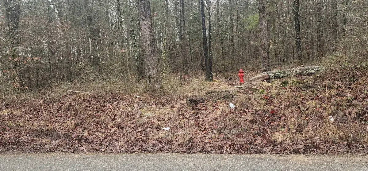 Lot 4 Smith Road, Rison, AR 71665 - #1