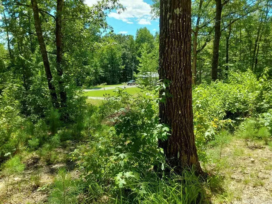 615 Rio Lane, Little Rock, AR 72210 - #3