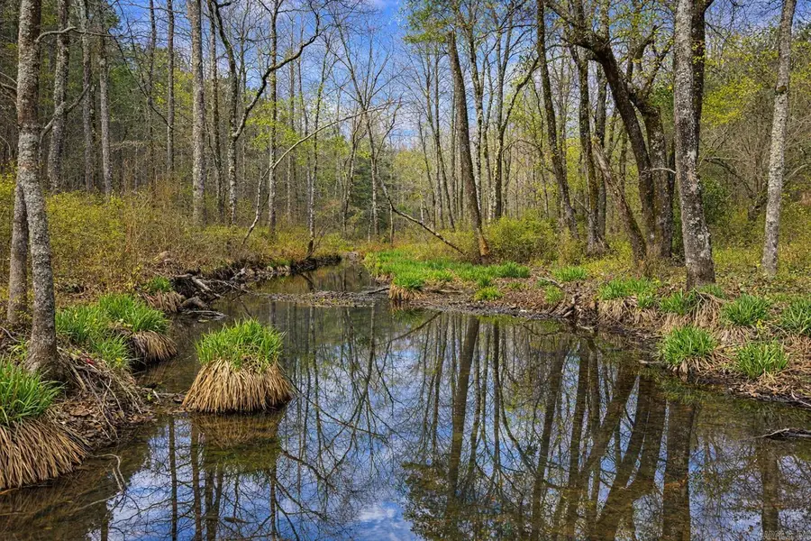 00 Ross Hollow Road, Bigelow, AR 72016 - #2