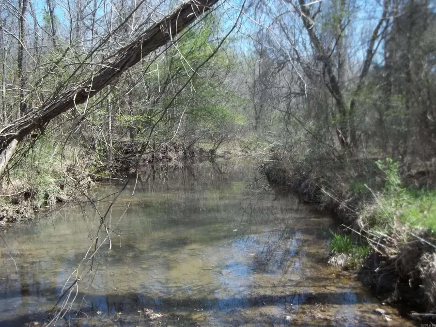 1013 Polk Road 23, Cove, AR 71937 - #2