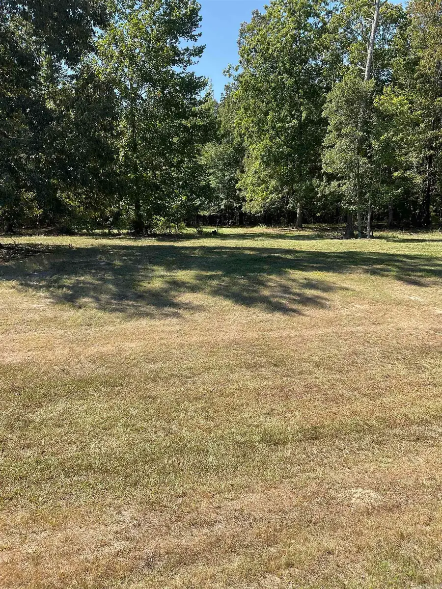 136 W Little Lane, White Hall, AR 71602 - #2