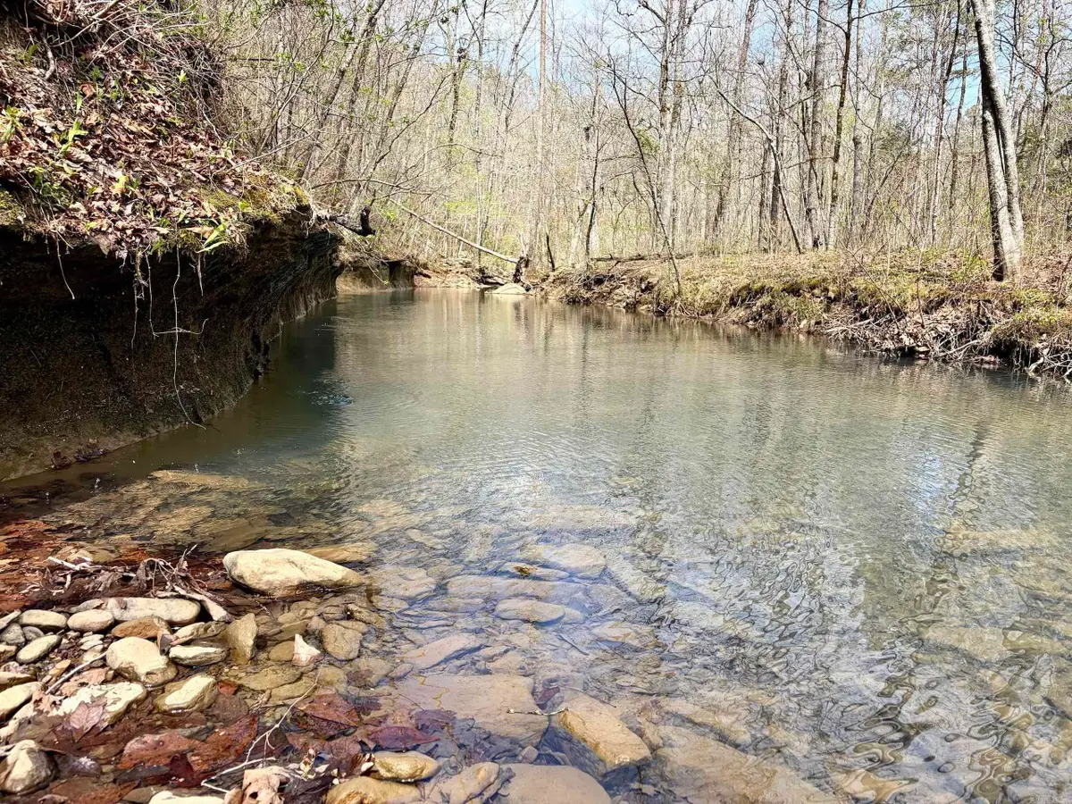 Address Withheld By Seller, Clinton, AR 72031 - #1