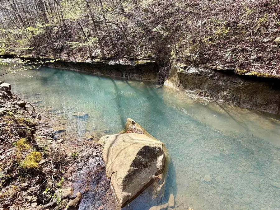 Address Withheld By Seller, Clinton, AR 72031 - #3