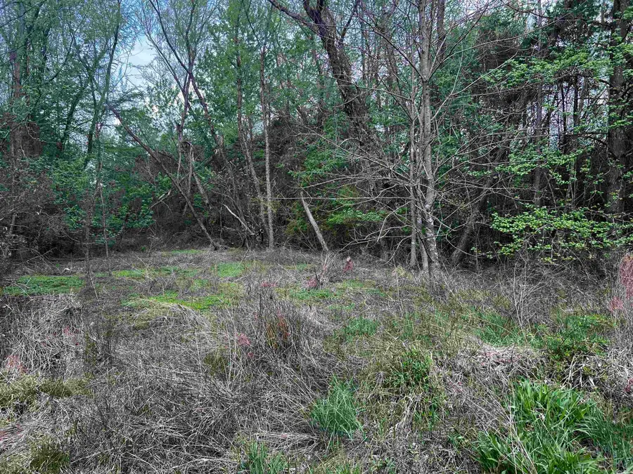 000 N Jackson Avenue, Russellville, AR 72802 - #3