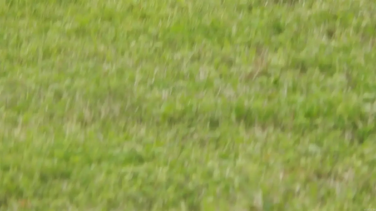 Address Withheld By Seller, Big Rock, AR 72206 - #1