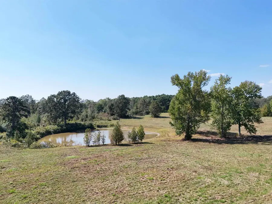 00 C A Holland Road, Quitman, AR 72131 - #2