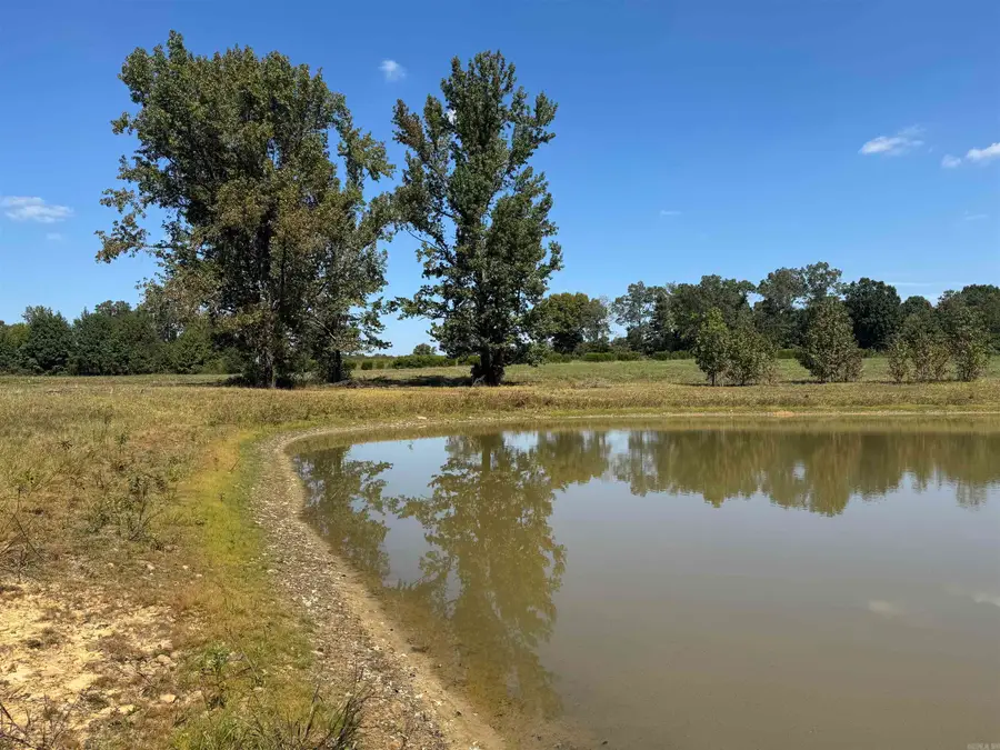 00 C A Holland Road, Quitman, AR 72131 - #3