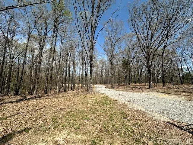 18 Acres Strawfloor, Jonesboro, AR 72404 - #3