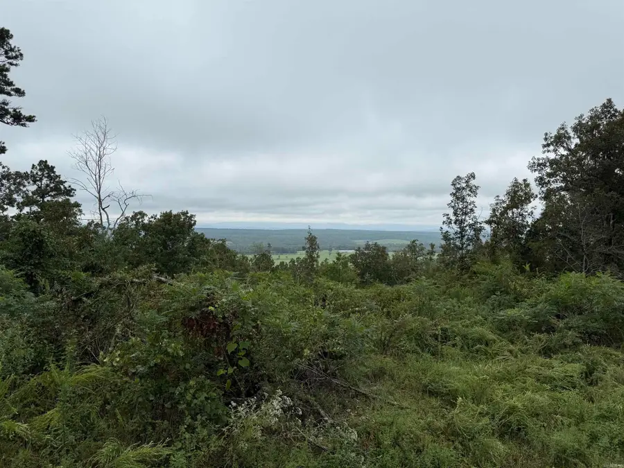 xxx Broomfield Road, Waldron, AR 72958 - #2