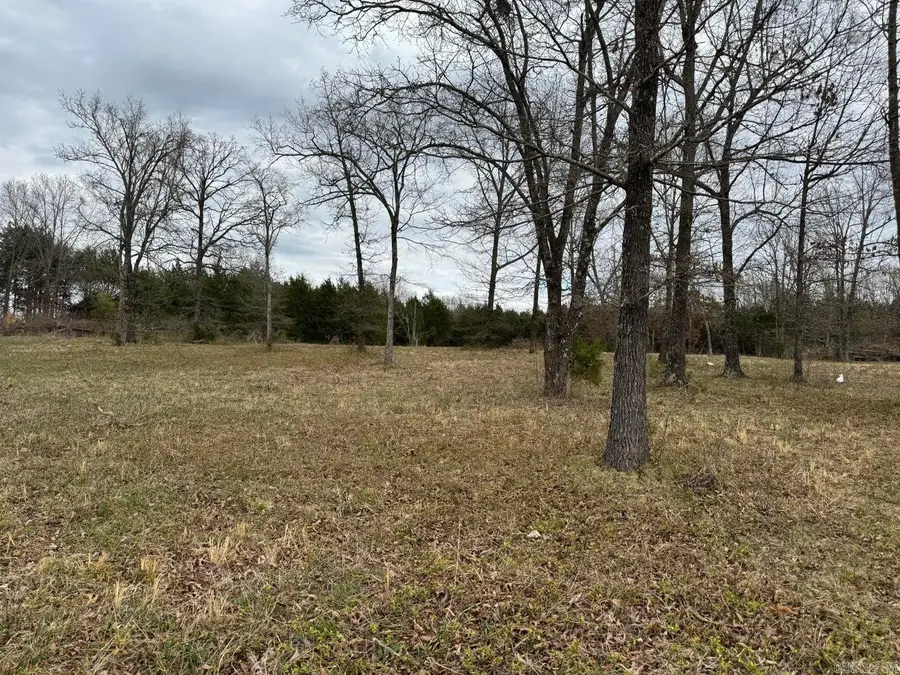 8 acres Hwy 167, Ash Flat, AR 72513 - #3