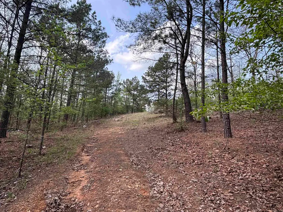 00 Deer Creek Cove, Sherwood, AR 72120 - #3