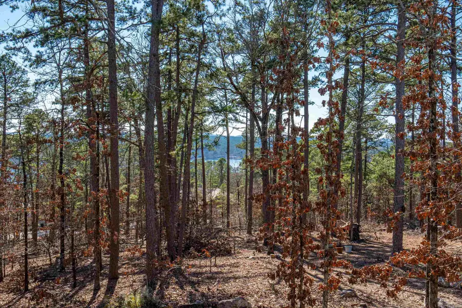 20 Hanares Lane, Hot Springs Village, AR 71909 - #3