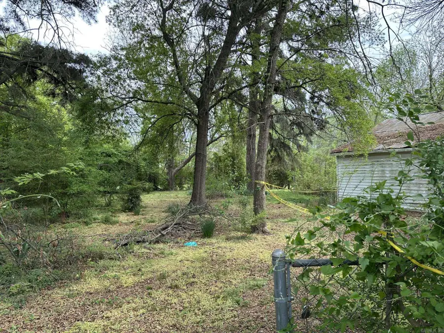 508 Ingram Street, Conway, AR 72032 - #3