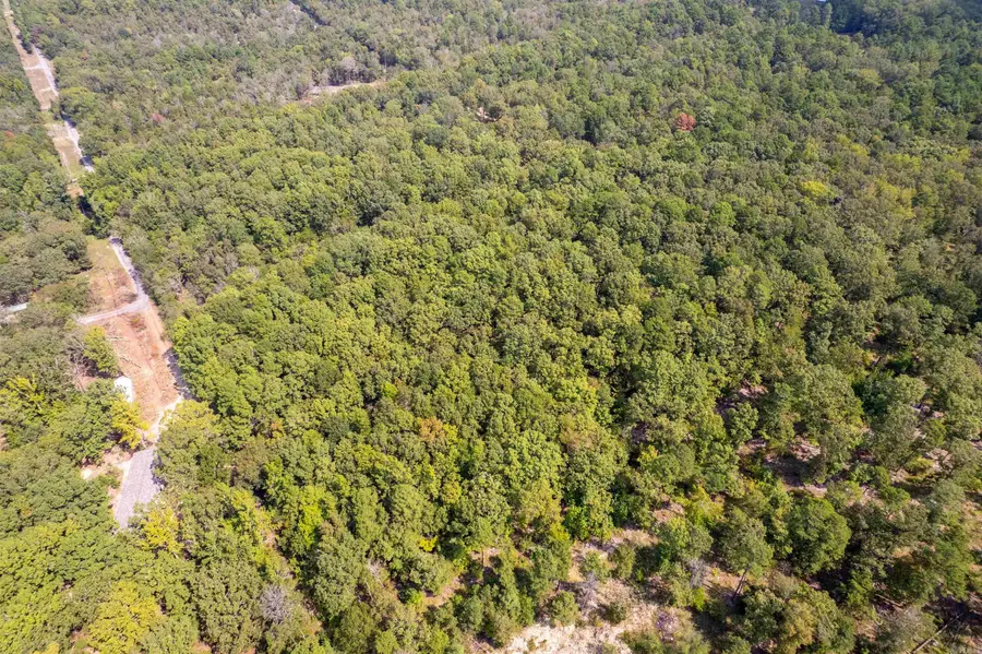 15203 Fast Lane, Alexander, AR 72002 - #3