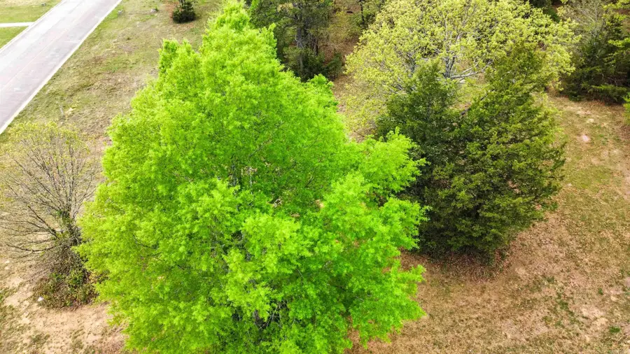 Lot 7 and 10 E Holloway Street, Morrilton, AR 72110 - #2