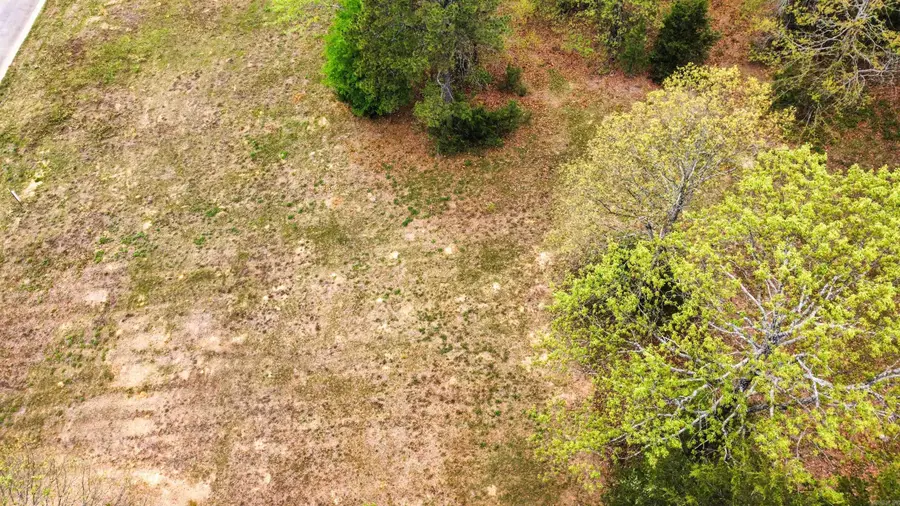Lot 7 and 10 E Holloway Street, Morrilton, AR 72110 - #3