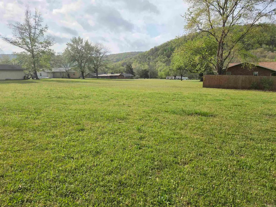 000 Maple Drive, Mountain View, AR 72560 - #2