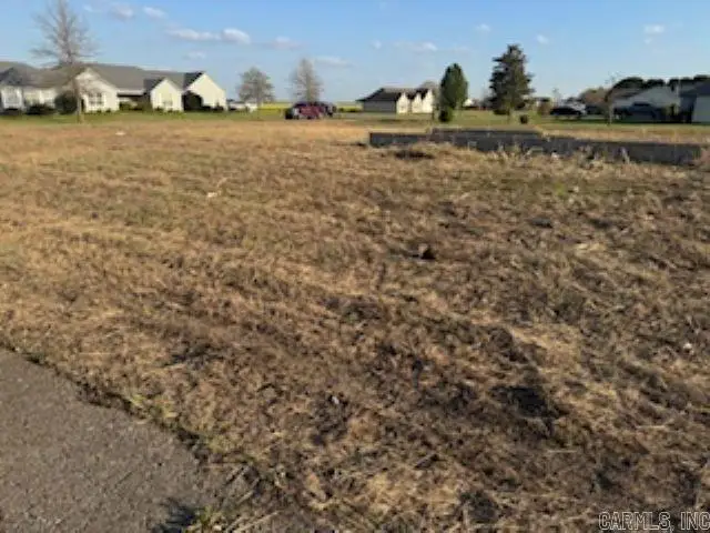 5679 N County Road 917, Blytheville, AR 72315 - #1