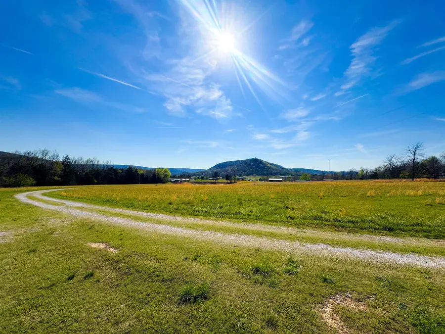 1334 Annette Lane, Mountain View, AR 72560 - #3