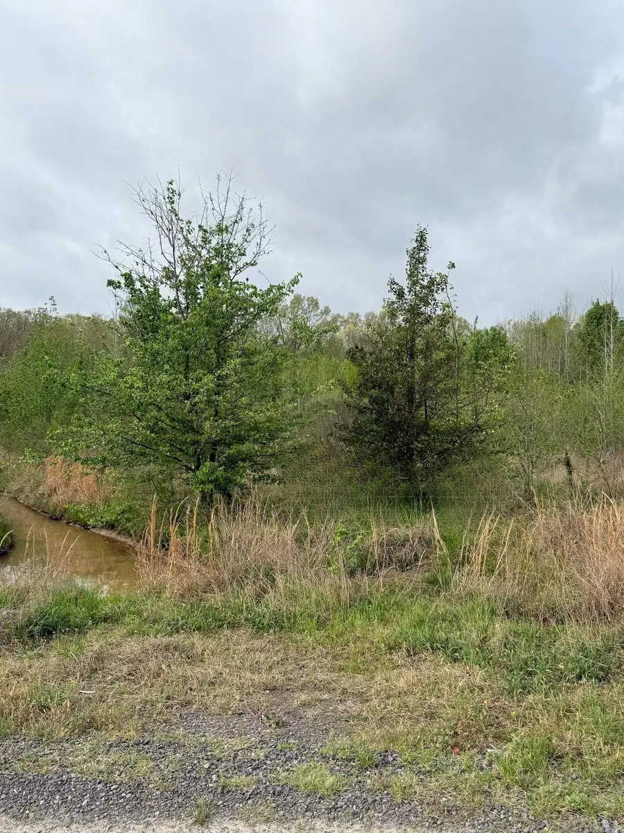1248 Pigeon Road, Ward, AR 72176 - #3