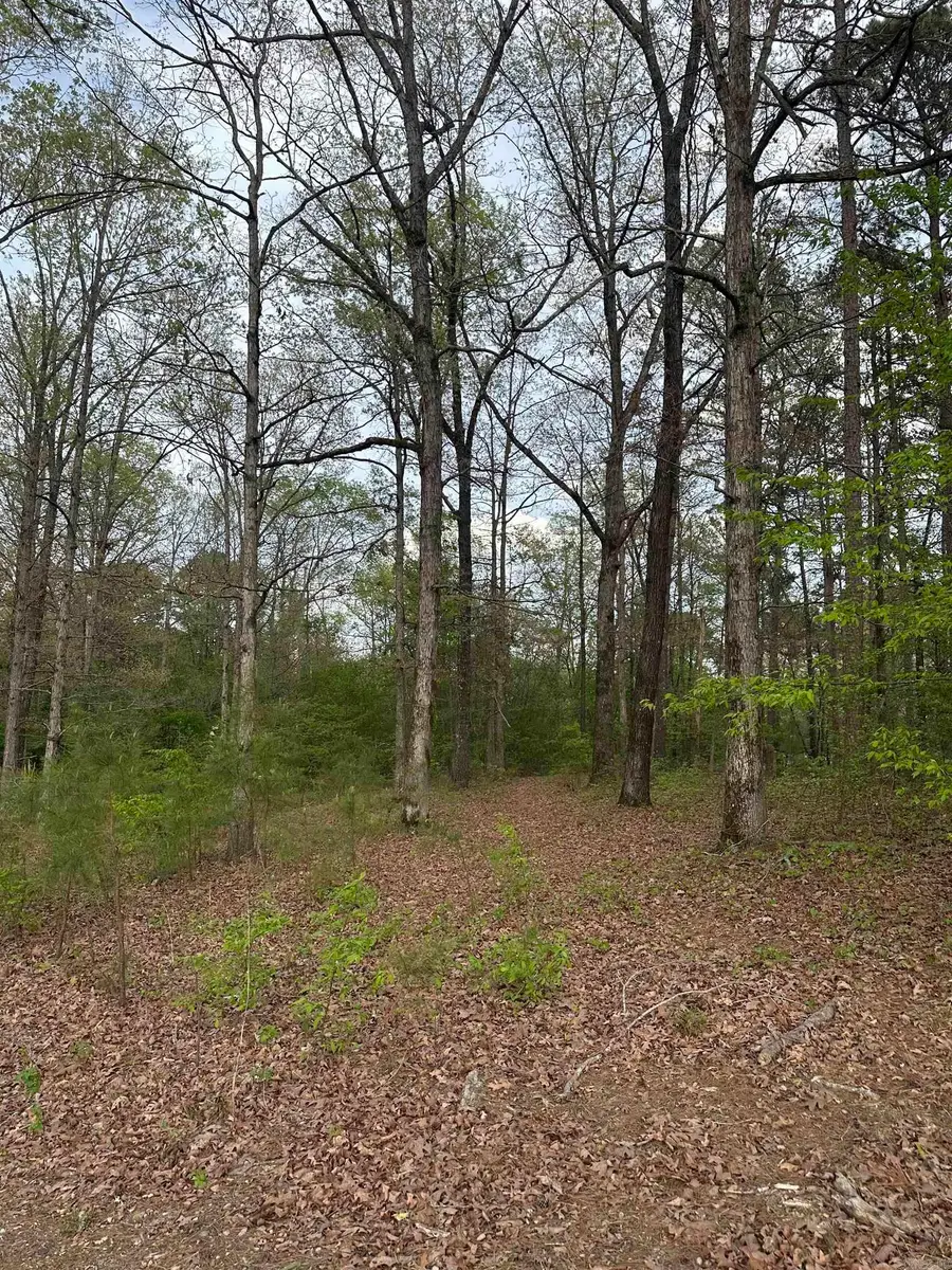 1796 Traskwood Road, Traskwood, AR 72167 - #2