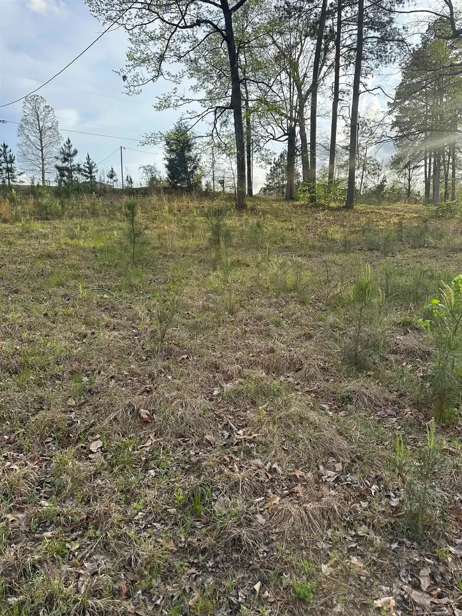 1796 Traskwood Road, Traskwood, AR 72167 - #3