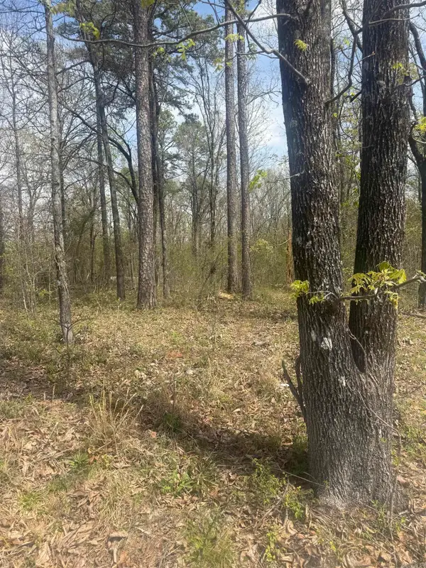 Greene 715 Rd, Paragould, AR 72450