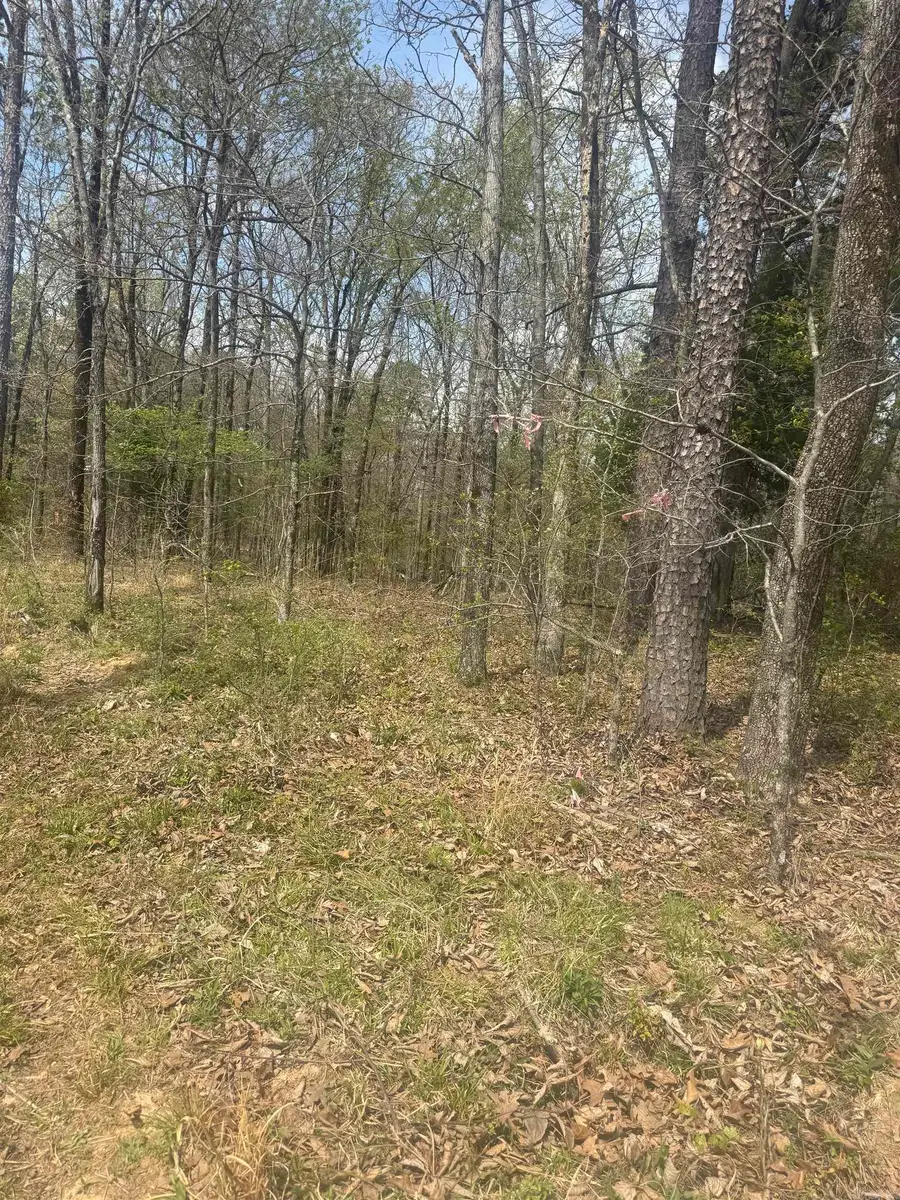 Greene 715 Rd, Paragould, AR 72450 - #2