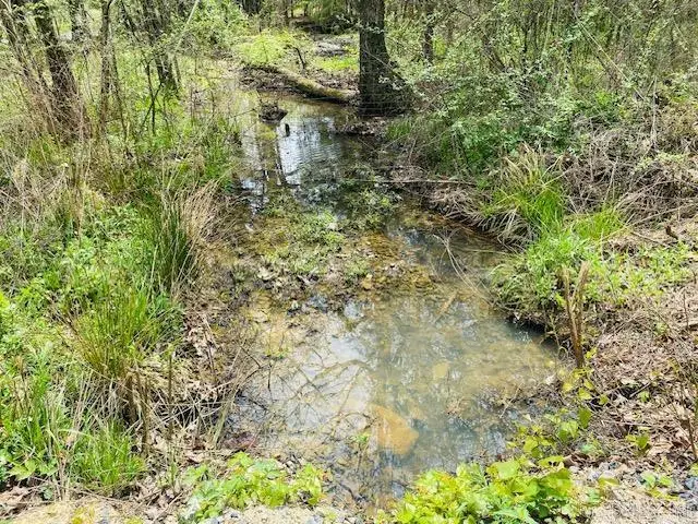 706 Old Waters Highway, Oden, AR 71961 - #3