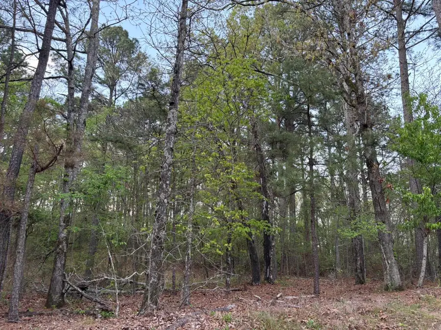 0 Walnut Hill Drive, Hot Springs, AR 71913 - #2