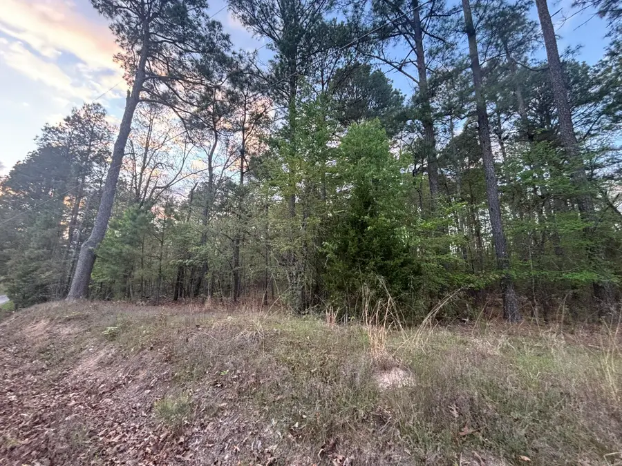 0 Walnut Hill Drive, Hot Springs, AR 71913 - #3