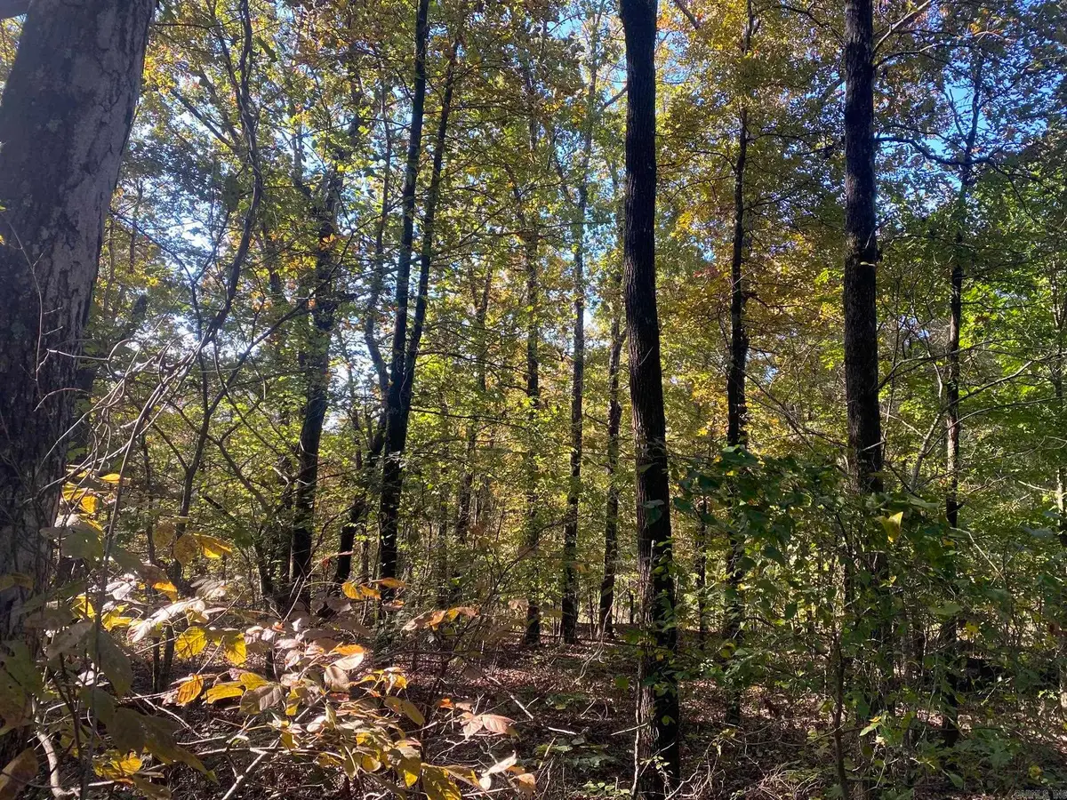 000 Jensen Road, Mountain View, AR 72560 - #1