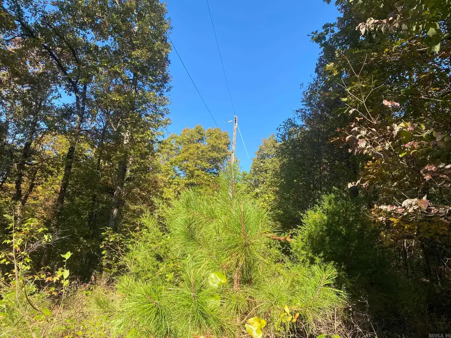 000 Jensen Road, Mountain View, AR 72560 - #3