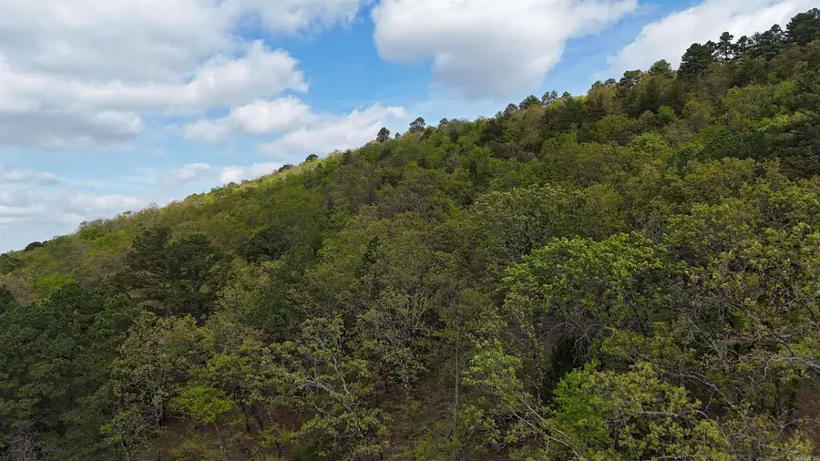 Address Withheld By Seller, Magazine, AR 72943 - #2