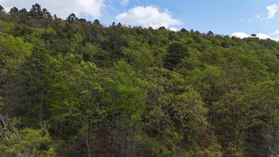 Address Withheld By Seller, Magazine, AR 72943 - #3