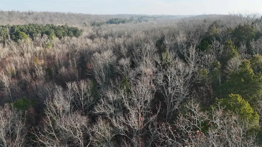 Address Withheld By Seller, Marshall, AR 72650 - #3