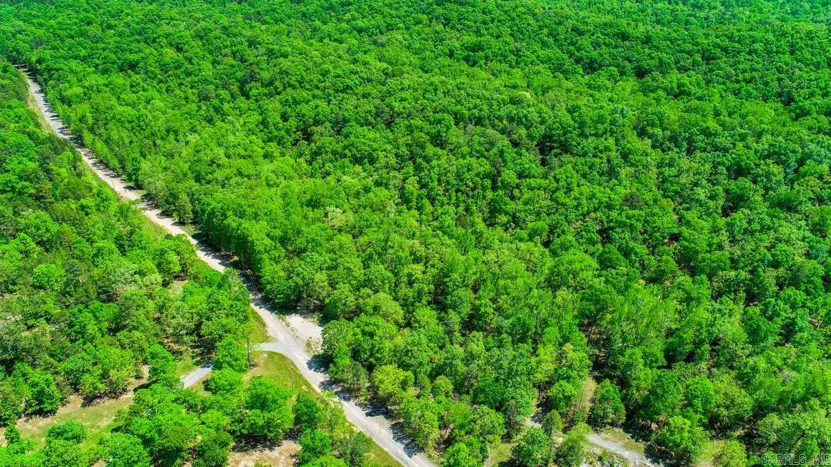 Address Withheld By Seller, Paron, AR 72122 - #1