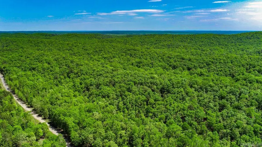 Address Withheld By Seller, Paron, AR 72122 - #2