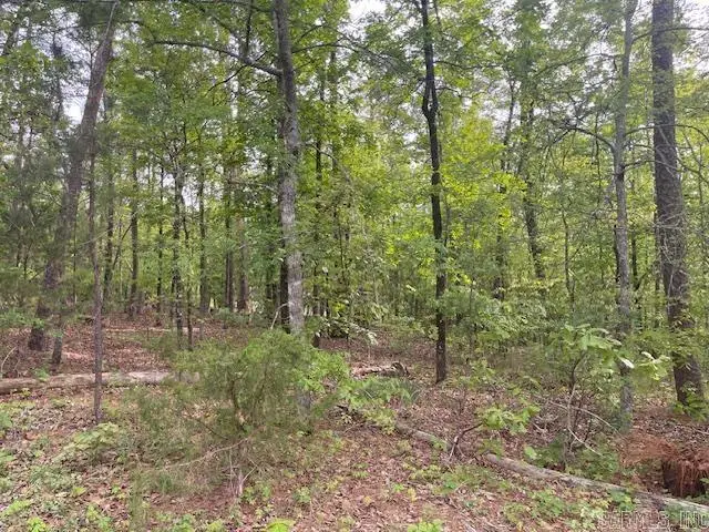 8 Faisan Circle, Hot Springs Village, AR 71909 - #2